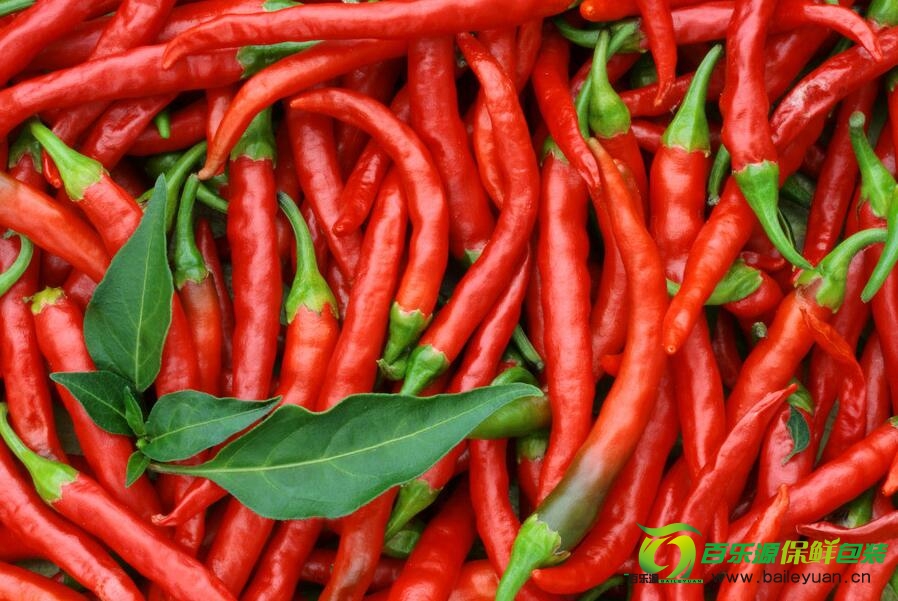 辣椒保鮮技術