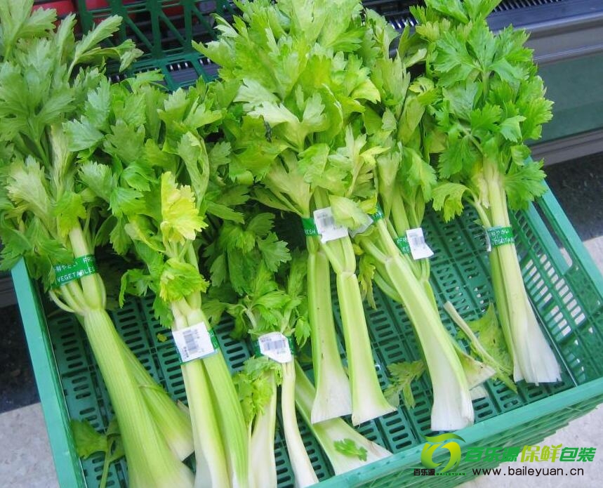 吃芹菜殺精嗎？