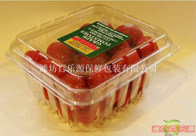 2014年西紅柿保鮮盒保鮮技術(shù)指導(dǎo)
