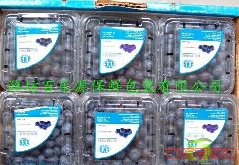 供應(yīng)藍(lán)莓專用物理活性保鮮盒