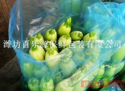 西葫蘆保鮮貯藏技術(shù)