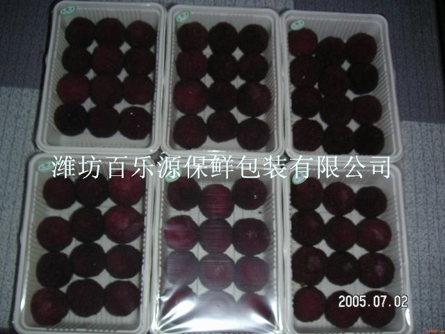 百樂源楊梅專用保鮮盒