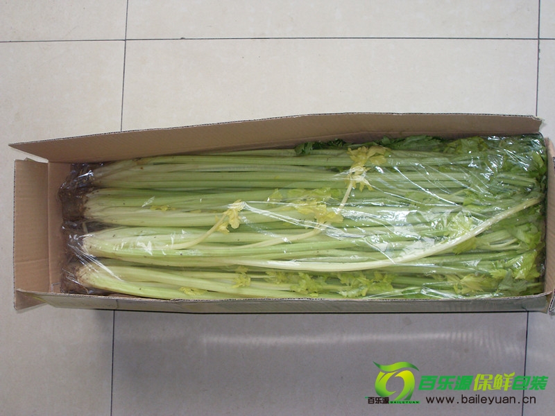 芹菜物理活性保鮮袋