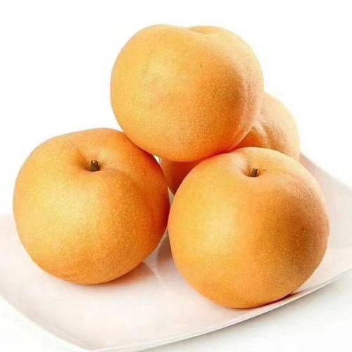 秋月梨的物理活性保鮮技術(shù)